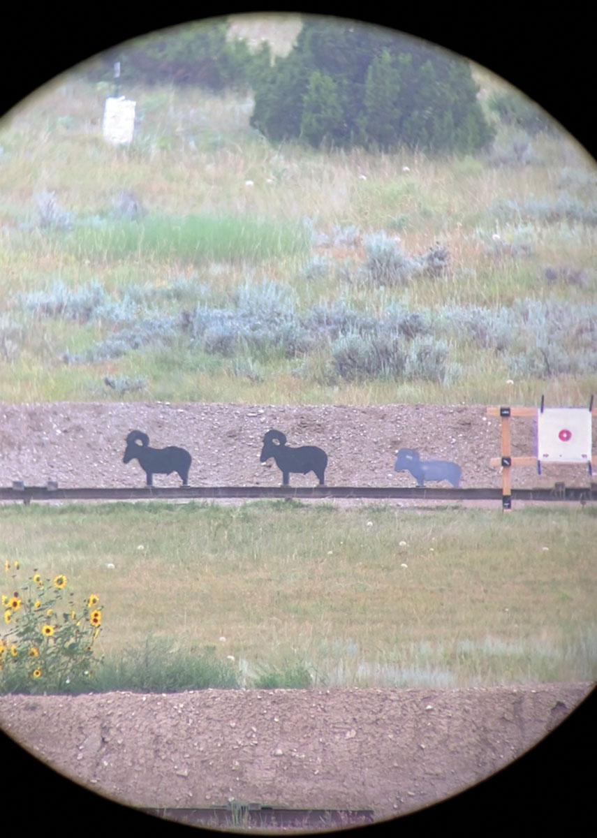 This photo was taken from a video using my Phone Scope on my spotting scope. The photo was taken exactly when the ram was falling over from being shot in the shoulder. If you look closely, you can see the bullet strike on the shoulder. Notice the target frame just to the right of the ram.